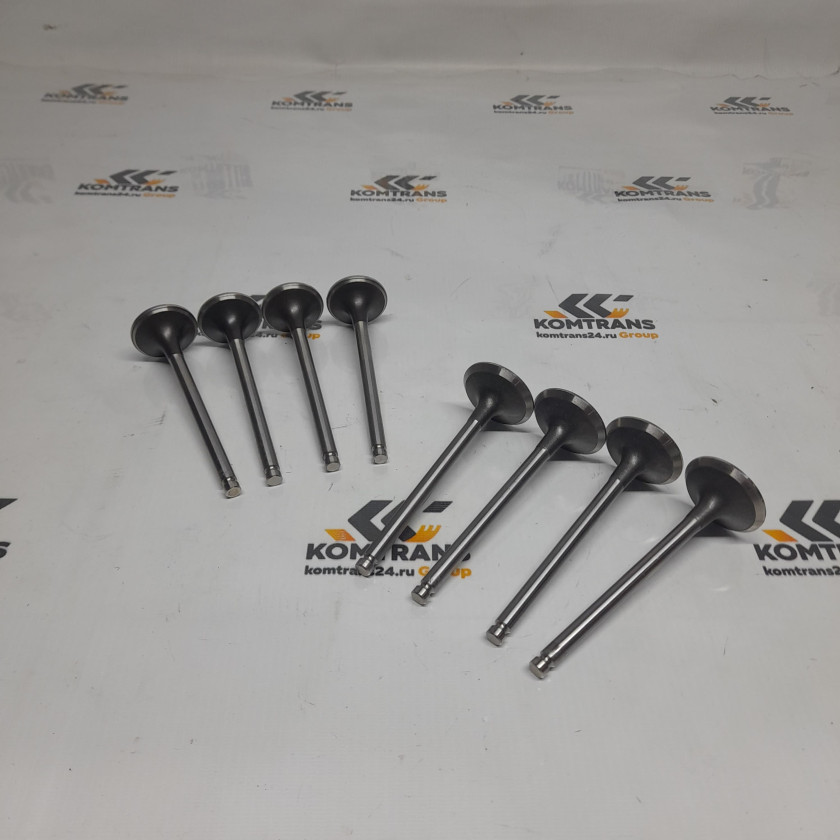 Клапан впускной,выпускной YN4 XCMG XCB-D35